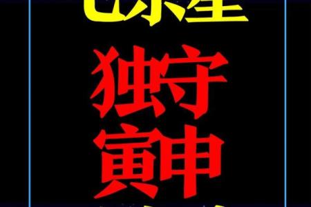 紫薇斗数死马
