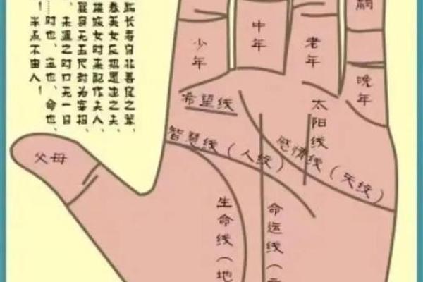 手相算命,女人手相成功线图解