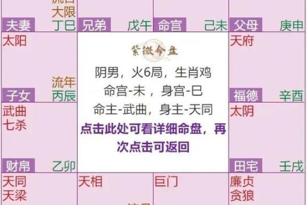 紫薇斗数四墓宫