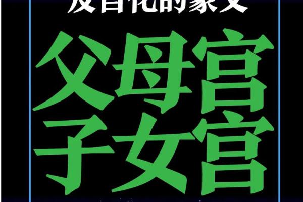 紫薇斗数父母宫情敌