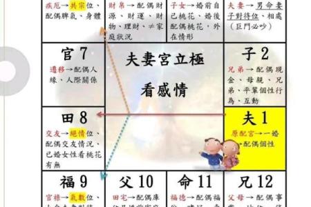 紫微斗数的排盘方法步骤