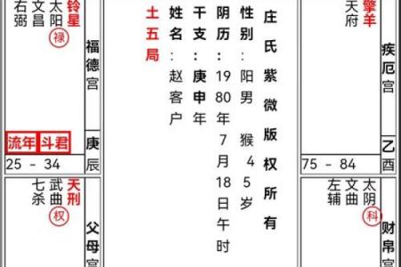紫微斗数命宫在寅紫薇天府