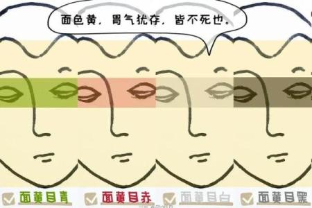 面相算命入门：五色