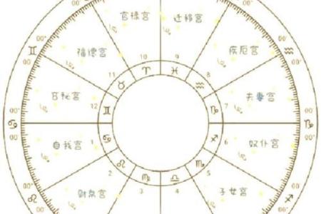 如何看懂自己的命盘十二宫,星盘12宫位代表含义
