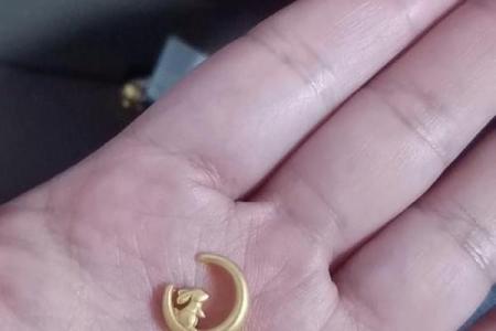 算命说是金兔子
