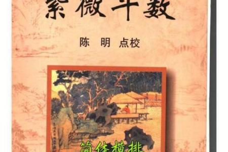 紫薇斗数教学设计