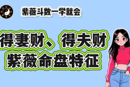 紫微斗数大财 紫微斗数大财看田？