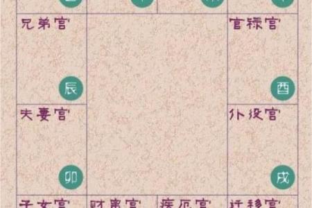 倪师设计紫薇斗数
