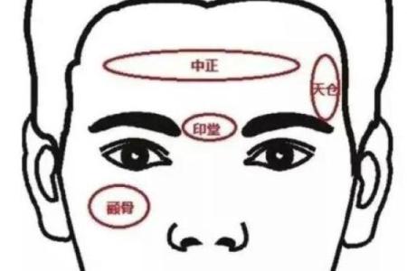 面相风水泪堂痣的寓意是什么命运
