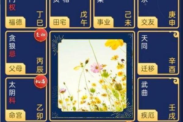 紫薇斗数胡老师
