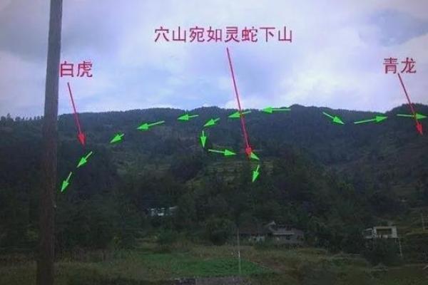 风水上婚姻不顺怎么化解