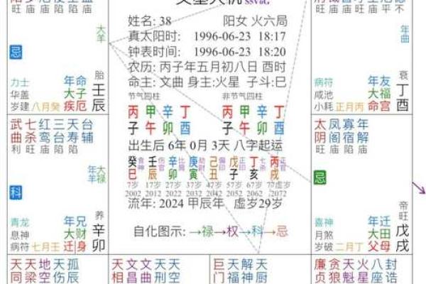 紫薇斗数亥宫