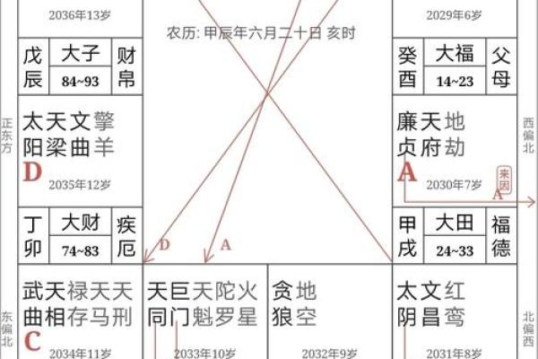 紫薇斗数亥宫