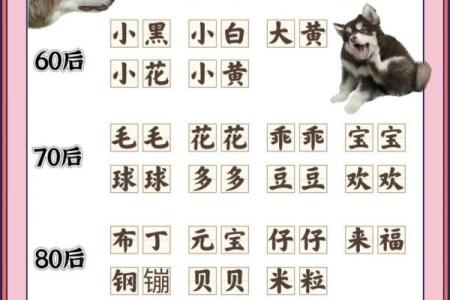 属狗巳时出生的男孩怎样取名字姓名
