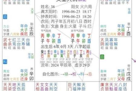 紫薇斗数亥宫
