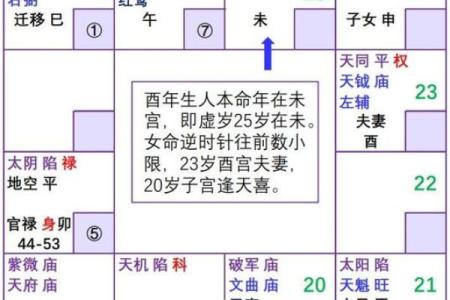 紫微斗数诸星落诸宫之：巨门星子女宫详解