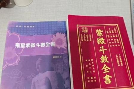 紫微斗数古书 紫微斗数古书籍？