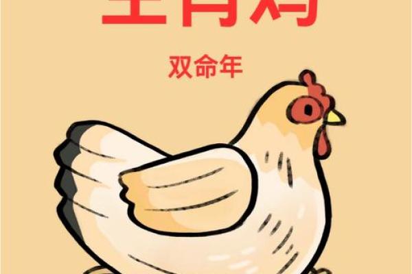 属鸡卯时出生的男孩如何起一个高大上的名字姓名