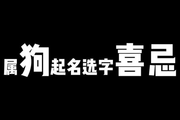 中午1点出生的属狗男孩如何取名，宜用什么字姓名
