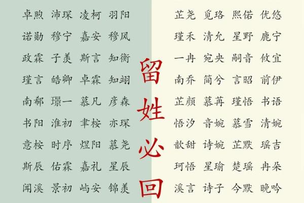 2019年4月1号丑时出生的男孩起名方法姓名