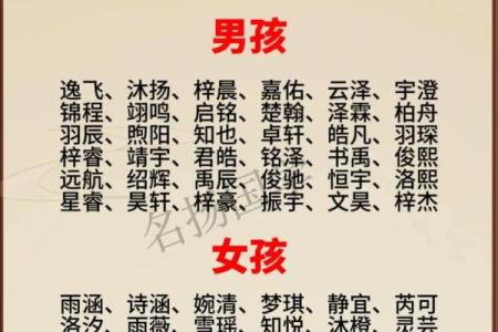 2019年6月2号子时出生的男孩如何起名姓名