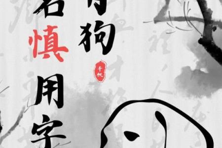 中午1点出生的属狗男孩如何取名，宜用什么字姓名