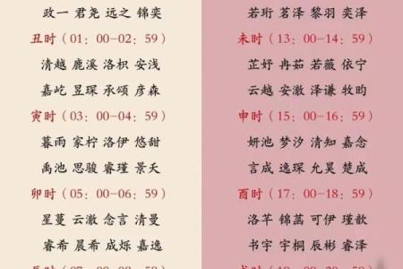 2019年4月29号寅时出生的男孩应该起什么样的名字姓名