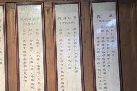 诸葛八卦村的风水秘诀是什么