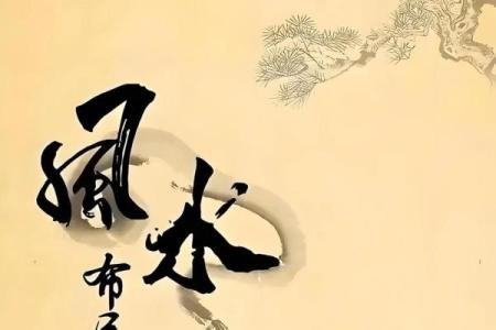 家有异相不可大意，风水在报警