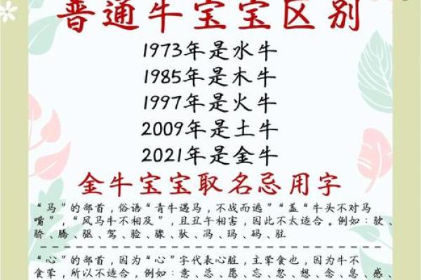 给晚上9点出生的属牛男孩取名字适合用什么字姓名