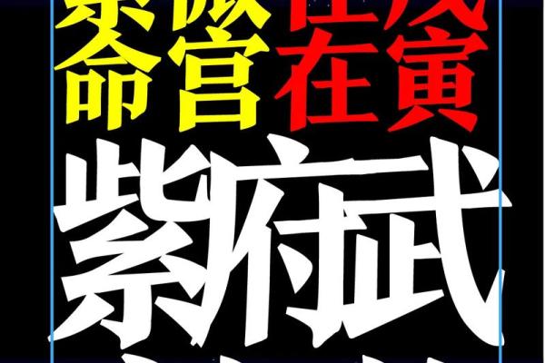 下紫薇斗数盘
