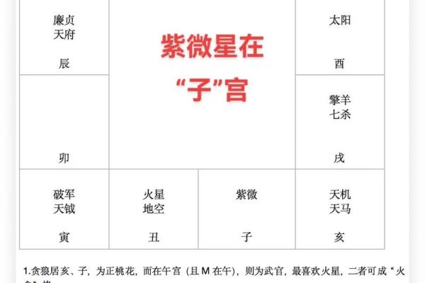 紫微斗数之诸星值限年运气推断：辅弼星之年