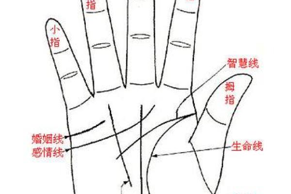 怎样看手相算命,如何学会看手相算命