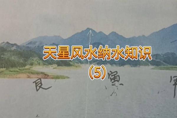 天星风水张子成风水