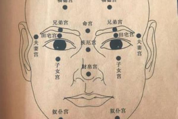 人体胎记算命的解释分析