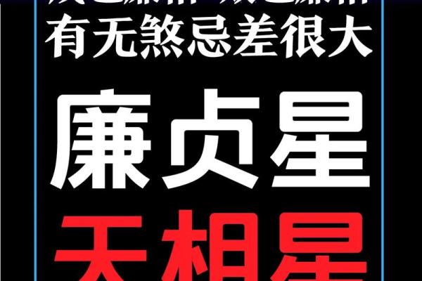 紫薇斗数福荫格