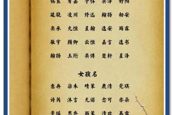 1月份出生的属兔女孩该如何起名姓名