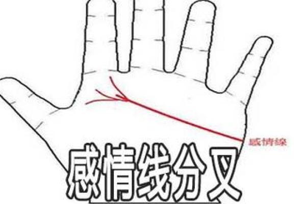 图解：手相中的感情线算命