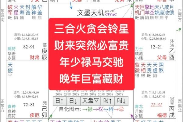 紫薇斗数与八字优缺点