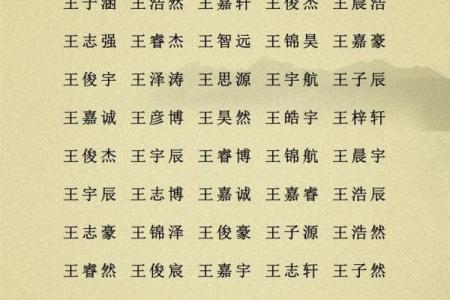 2019年6月28号丑时出生的男孩应该起什么样的名字姓名