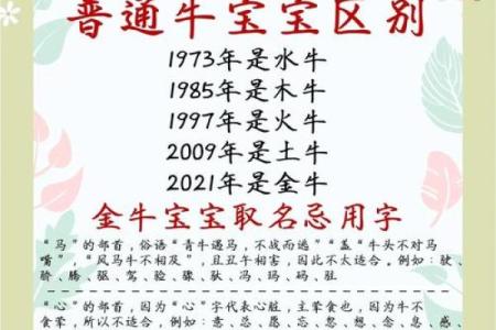 给晚上9点出生的属牛男孩取名字适合用什么字姓名