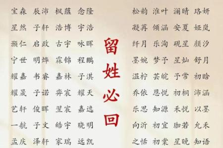 2019年3月28号酉时出生的男孩如何起名姓名