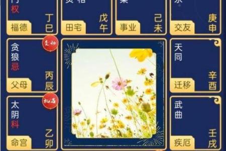 下紫薇斗数盘
