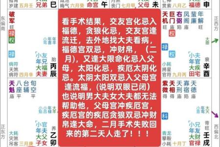 紫薇斗数单守什么意思