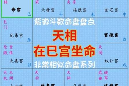 紫微斗数同盘不同运 紫微斗数基本盘相同的人？