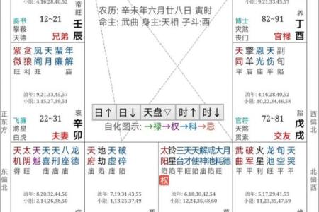 紫薇斗数化解化忌