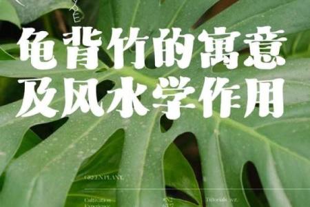 风水的现实作用，学好受益匪浅