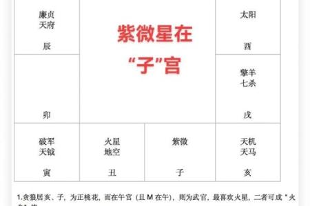 紫微斗数之诸星值限年运气推断：辅弼星之年