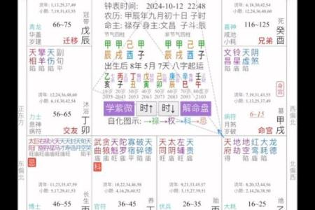 东有小山紫薇斗数7
