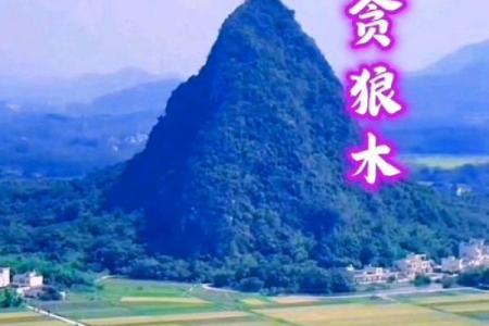 紫微斗数－贪狼星
